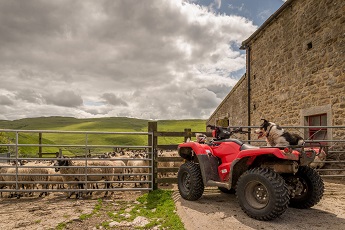 Farmyard And Quadbike 