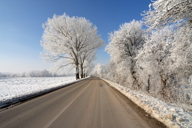 Frosty Road 